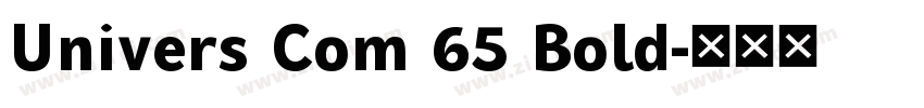 Univers Com 65 Bold字体转换